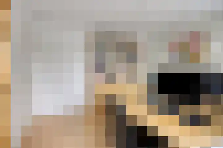Anke Servaeshof 1 Tilburg thumbnail 36
