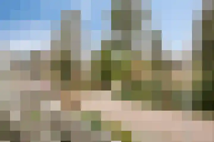 Anke Servaeshof 1 Tilburg thumbnail 37