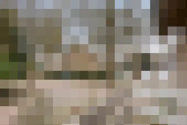 Anke Servaeshof 1 Tilburg thumbnail 38