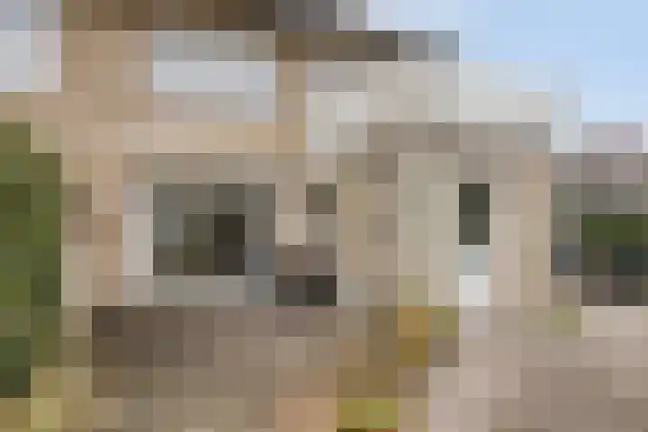Anke Servaeshof 1 Tilburg thumbnail 52