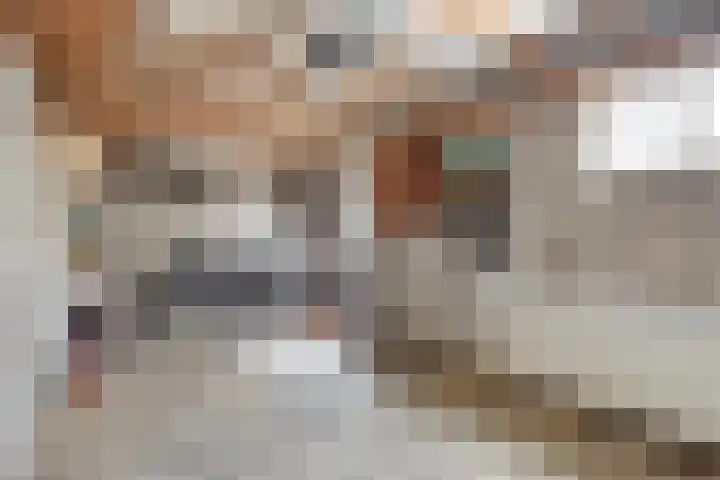 Anke Servaeshof 1 Tilburg thumbnail 57