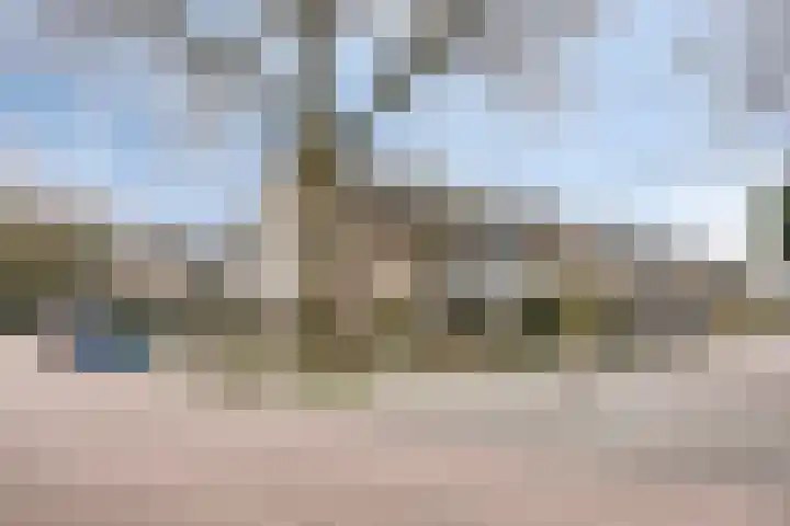 Anke Servaeshof 1 Tilburg thumbnail 6