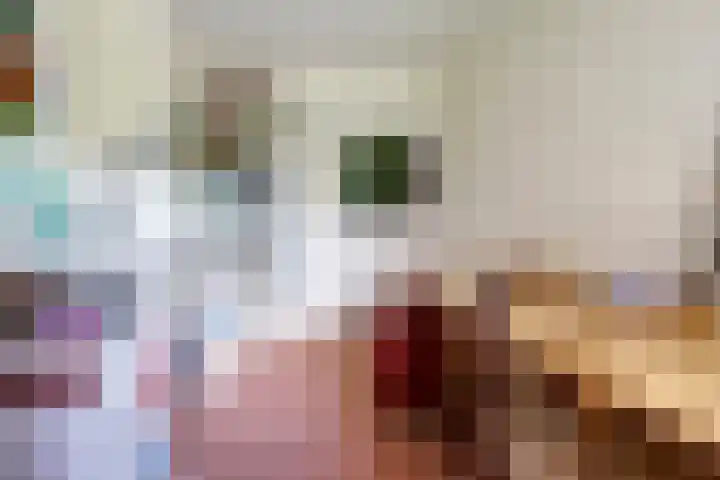 Anke Servaeshof 10 Tilburg thumbnail 22