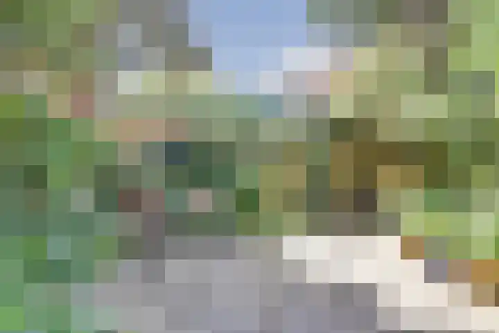 Anke Servaeshof 10 Tilburg thumbnail 31