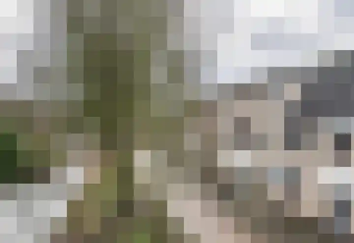 Anke Servaespad 14 Gorinchem