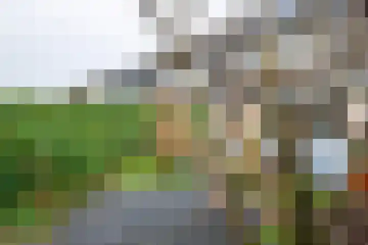 Anke Servaespad 14 Gorinchem thumbnail 17