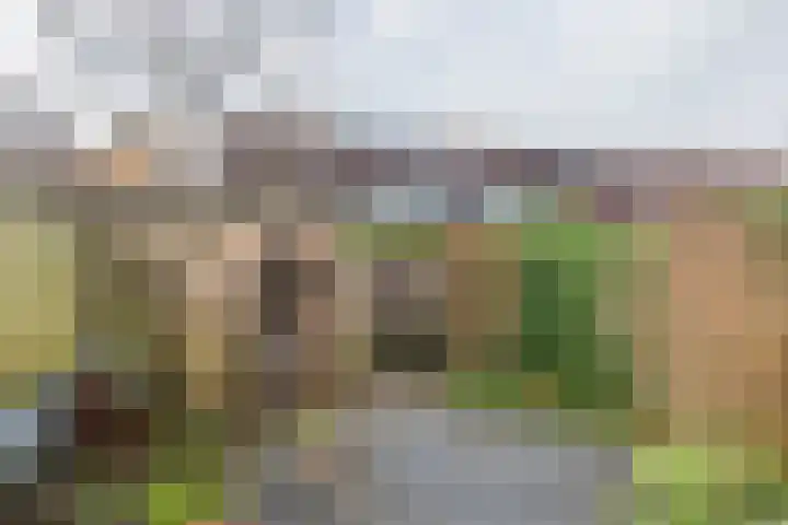 Anke Servaespad 14 Gorinchem thumbnail 18