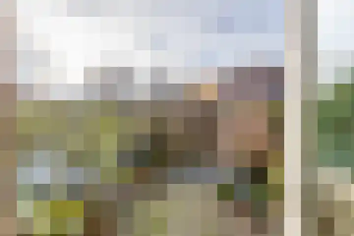 Anke Servaespad 14 Gorinchem thumbnail 19