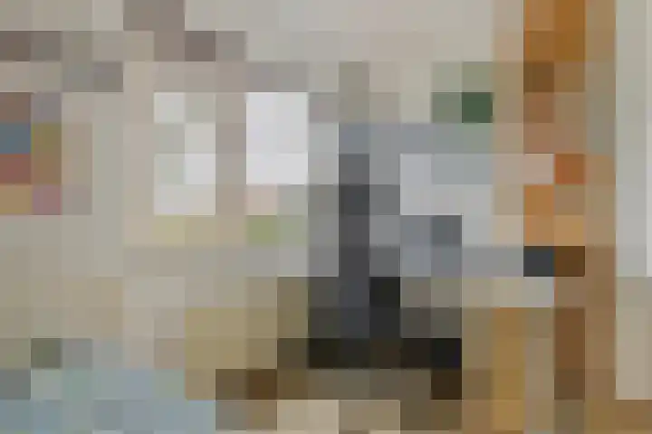 Anke Servaespad 14 Gorinchem thumbnail 26