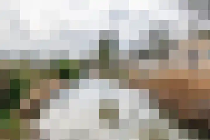 Anke Servaespad 14 Gorinchem thumbnail 36