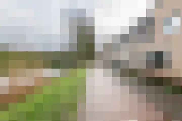 Anke Servaespad 14 Gorinchem thumbnail 37
