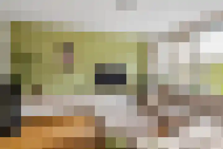 Anke Servaespad 14 Gorinchem thumbnail 9