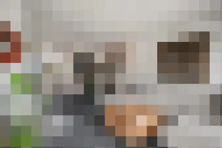 Anker 9 Oss thumbnail 10