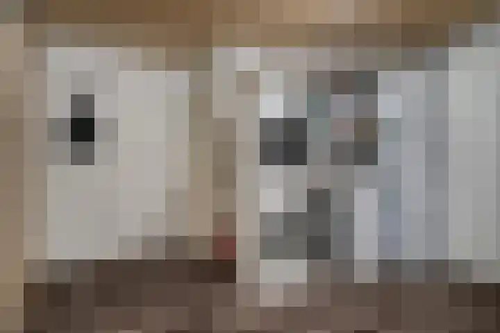 Anker 9 Oss thumbnail 24