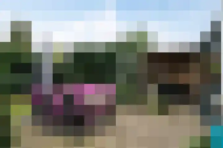 Anker 9 Oss thumbnail 30