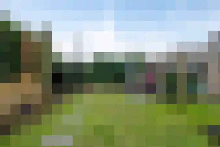 Anker 9 Oss thumbnail 34