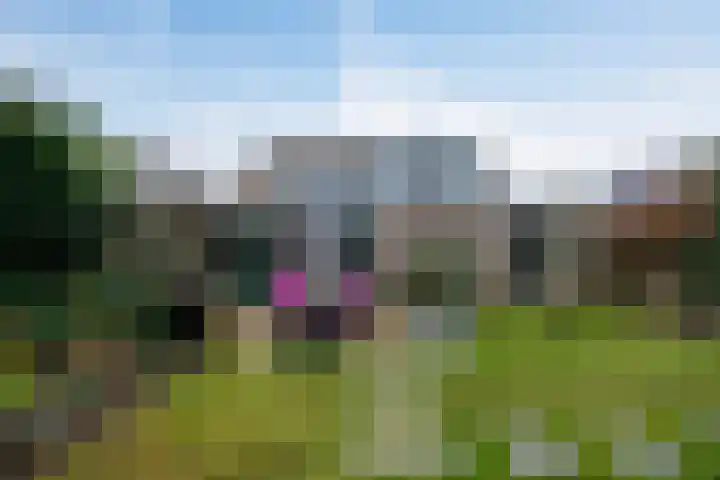 Anker 9 Oss thumbnail 35