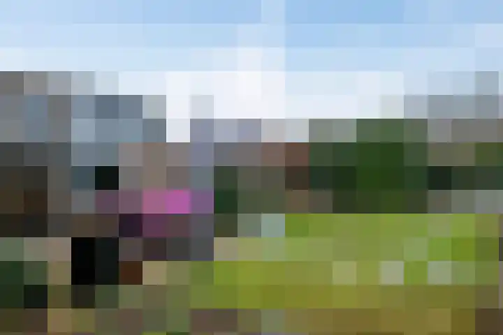 Anker 9 Oss thumbnail 36