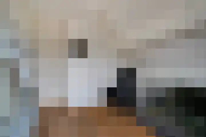 Anker 9 Oss thumbnail 47
