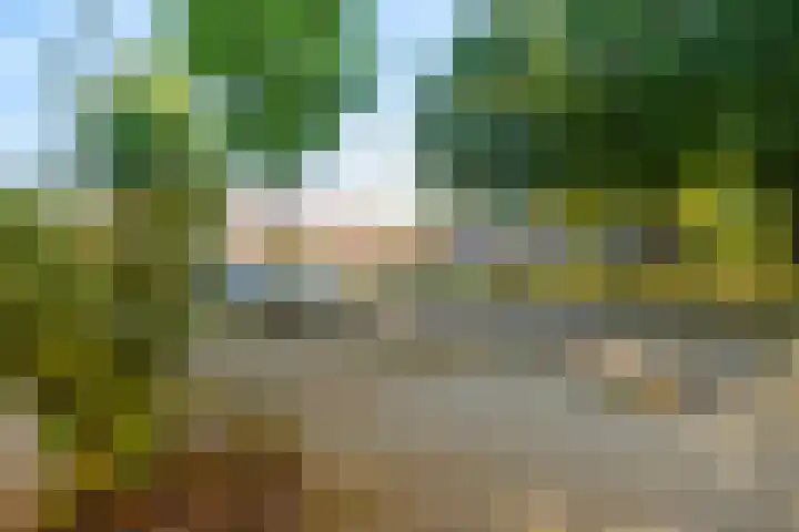 Ankerstraat 27 Dronten thumbnail 25