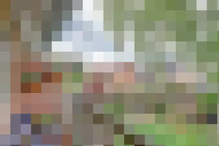 Ankerstraat 27 Dronten thumbnail 33