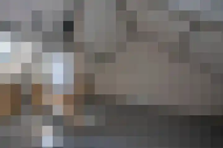 Ankrot 63 Enschede thumbnail 22