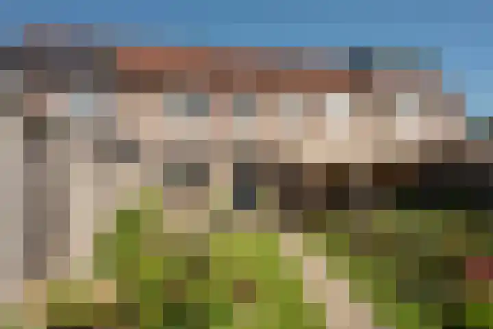 Ankrot 63 Enschede thumbnail 25