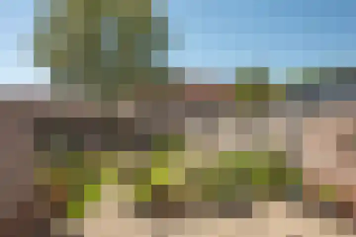 Ankrot 63 Enschede thumbnail 26