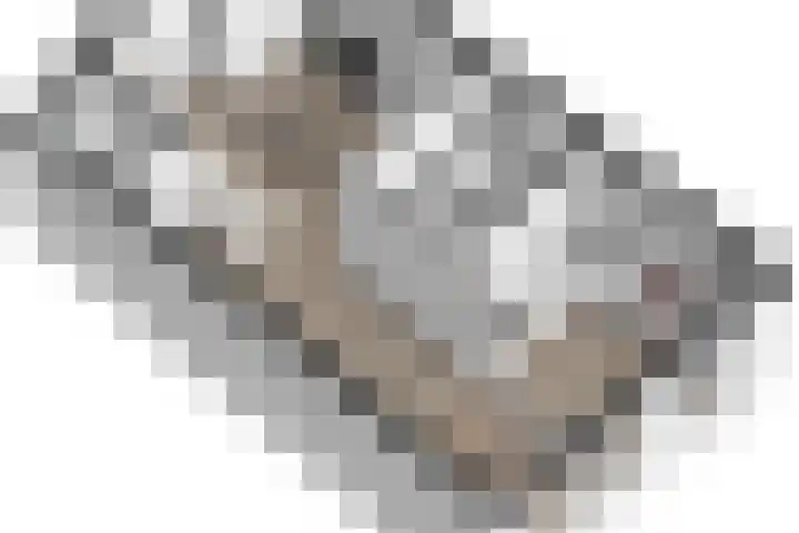 Ankrot 63 Enschede thumbnail 34