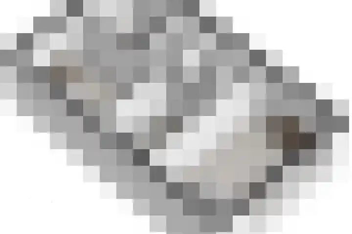 Ankrot 63 Enschede thumbnail 35