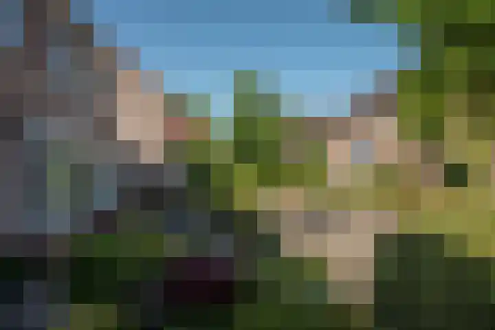 Ankrot 63 Enschede thumbnail 4
