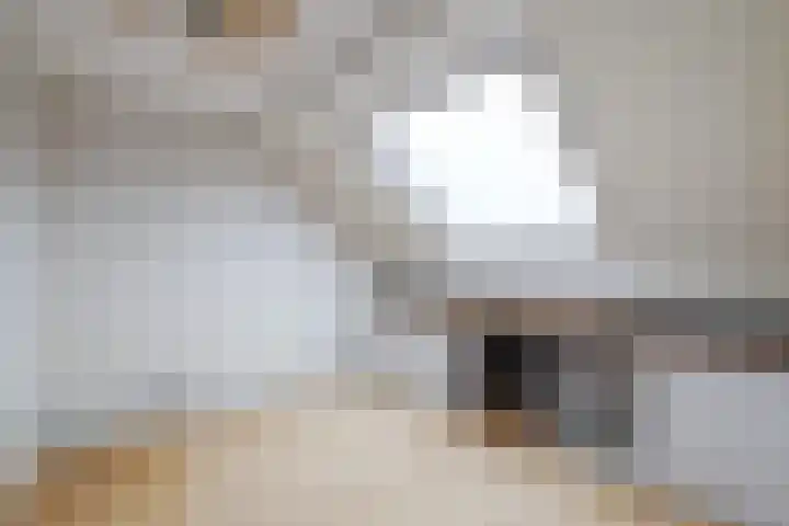 Ankrot 67 Enschede thumbnail 32