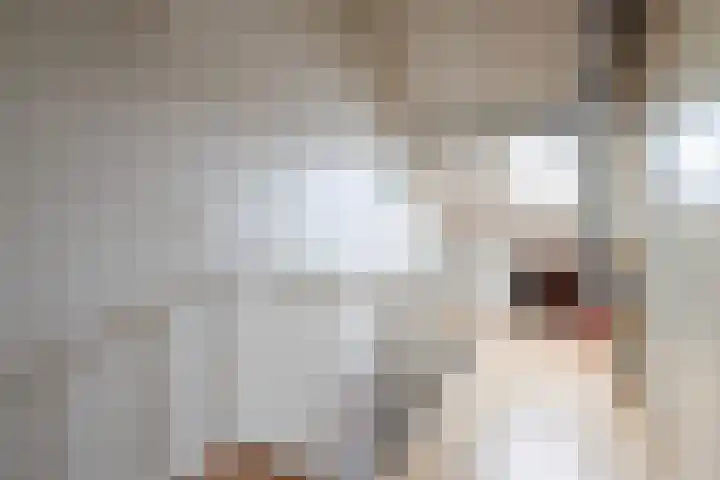 Ankrot 67 Enschede thumbnail 34