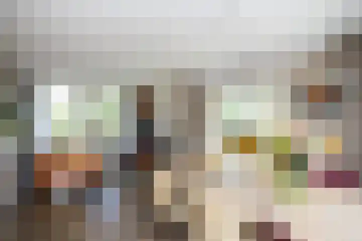 Ankummer Es 1 Dalfsen thumbnail 12
