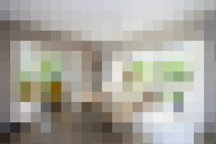 Ankummer Es 1 Dalfsen thumbnail 13