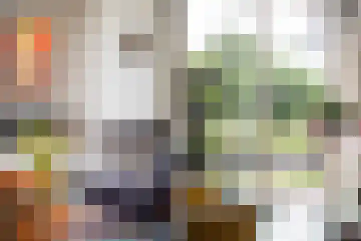 Ankummer Es 1 Dalfsen thumbnail 15