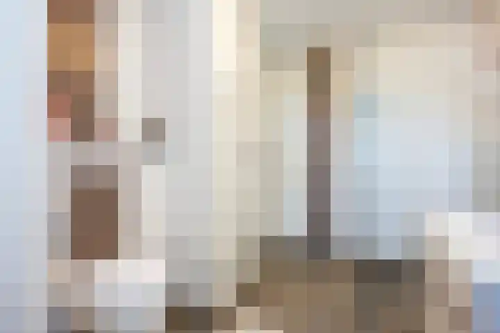 Ankummer Es 1 Dalfsen thumbnail 23
