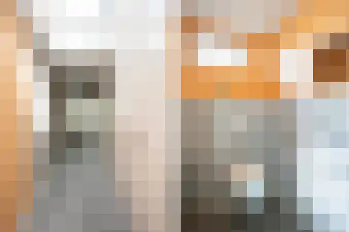 Ankummer Es 1 Dalfsen thumbnail 24