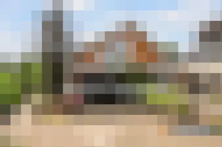 Ankummer Es 1 Dalfsen thumbnail 34