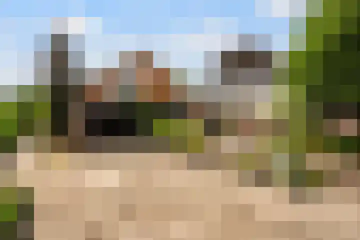 Ankummer Es 1 Dalfsen thumbnail 35