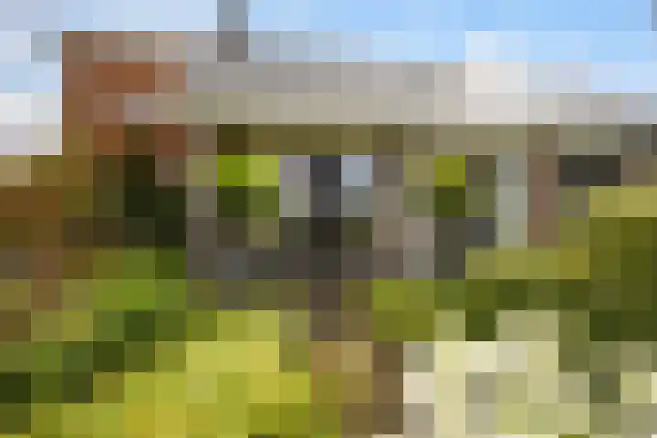 Ankummer Es 1 Dalfsen thumbnail 4