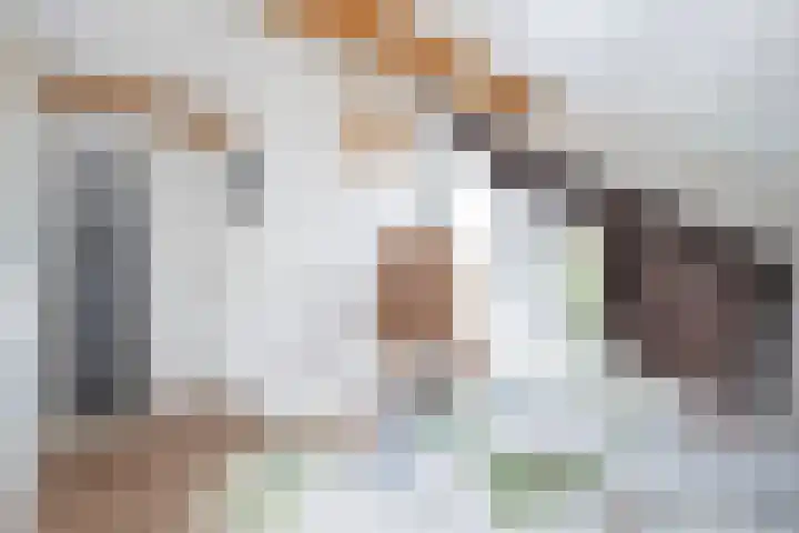 Ankummer Es 1 Dalfsen thumbnail 40