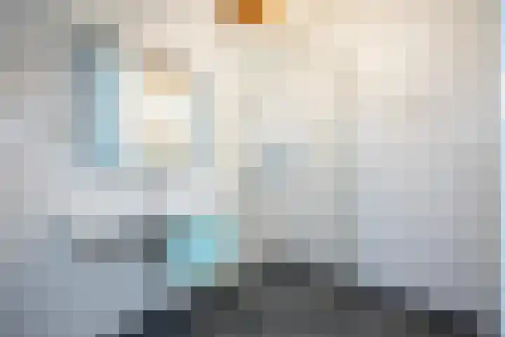 Ankummer Es 1 Dalfsen thumbnail 43