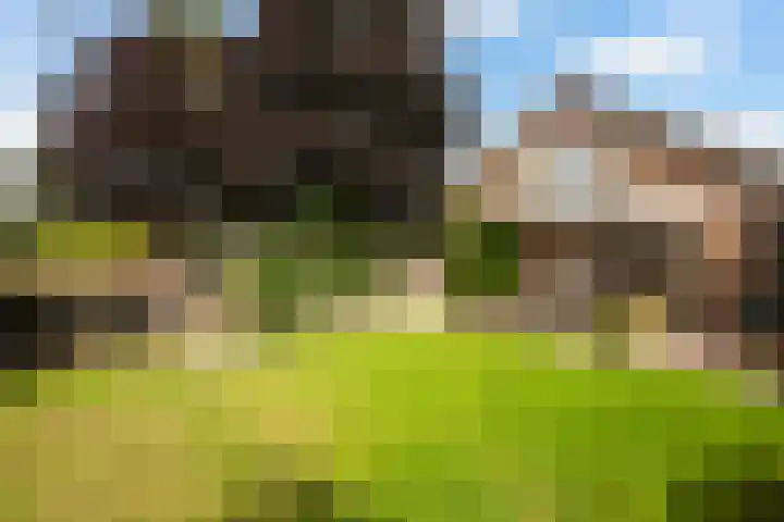 Ankummer Es 1 Dalfsen thumbnail 46