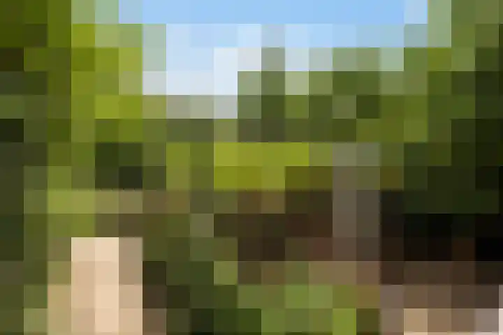 Ankummer Es 1 Dalfsen thumbnail 53
