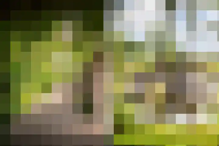 Ankummer Es 1 Dalfsen thumbnail 54