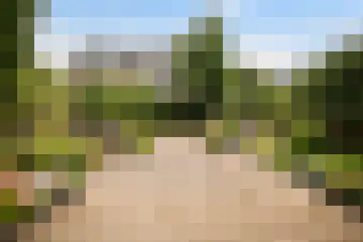Ankummer Es 1 Dalfsen thumbnail 55