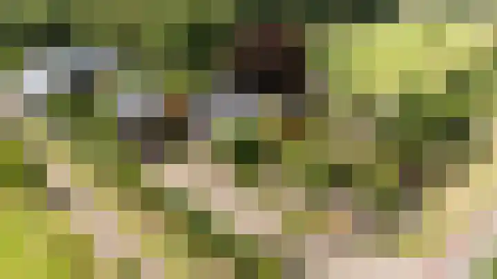 Ankummer Es 1 Dalfsen thumbnail 56