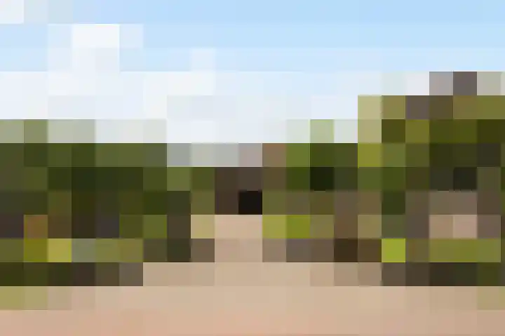 Ankummer Es 1 Dalfsen thumbnail 6