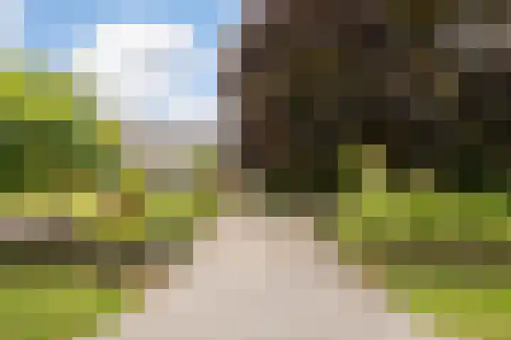 Ankummer Es 1 Dalfsen thumbnail 61